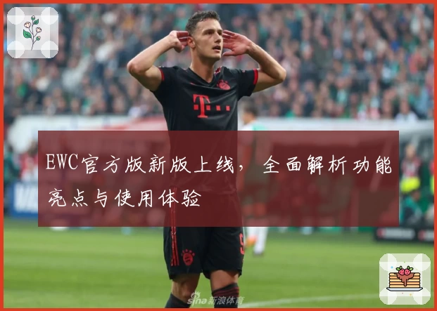 EWC官方版新版上线，全面解析功能亮点与使用体验