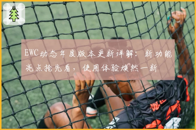 EWC动态年度版本更新详解：新功能亮点抢先看，使用体验焕然一新