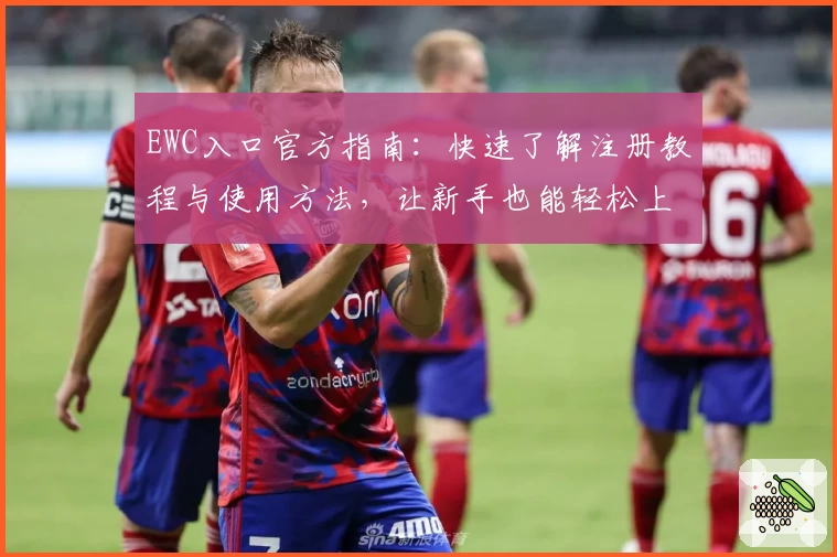 EWC入口官方指南：快速了解注册教程与使用方法，让新手也能轻松上手